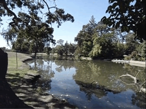31Video1-Stockton