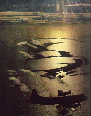 Bermuda1