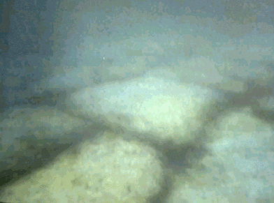 Bimini3