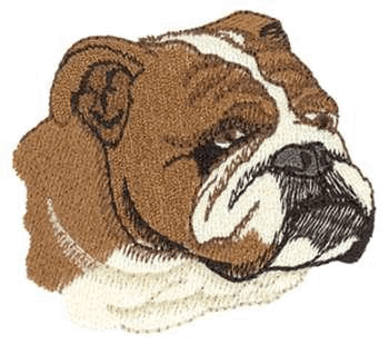 Bulldog head
