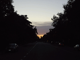 DSC03879-icon