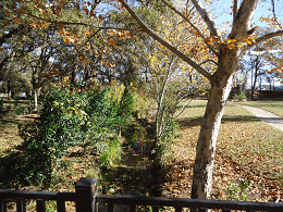 DSC04993-50%-icon