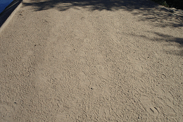 DSC05148-icon