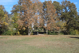 DSC05645-50%-icon