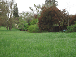 DSC05686-50%-icon