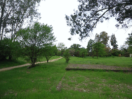 DSC05700-50%-icon