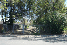 DSC06119-50%-icon