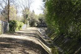 DSC06123-50%-icon