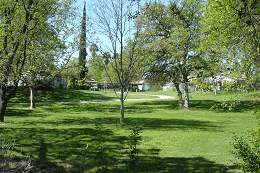 DSC06231-icon