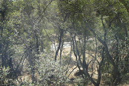 DSC06889-icon
