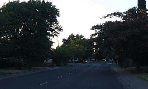 Paseo-Cropped-50