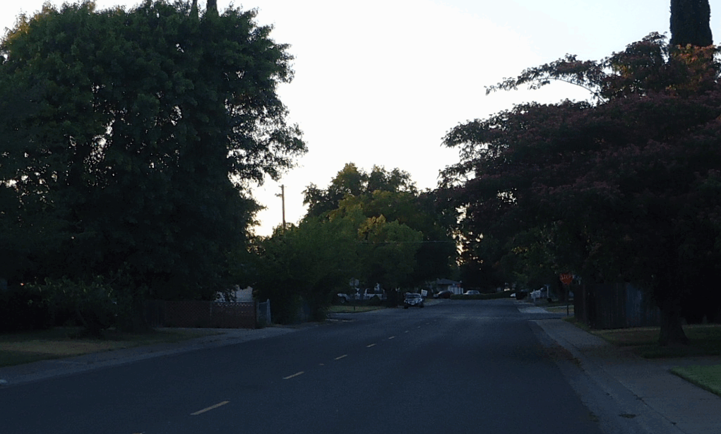 Paseo-Cropped