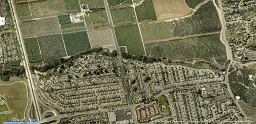 Santa Paula-Cats-angle-icon