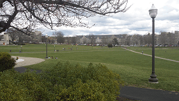 VT-Student Lawn-VO-icon