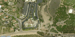 Ventura--High Point -angle-cats-icon