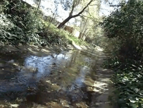 Video2-Citrus Heights-icon