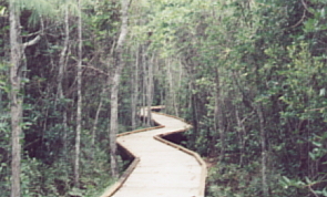 boardwalk
