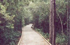 boardwalk2