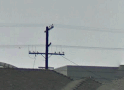 original pole-icon original pole-icon
