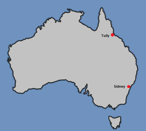 saucer-nests-Australia-marked saucer-nests-Australia-marked